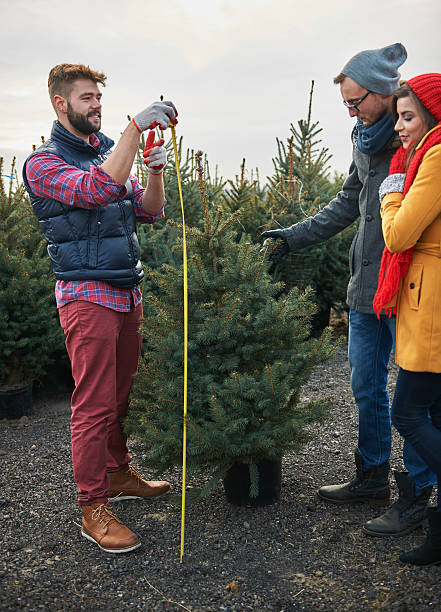 istock Is that measure fine for you? 495343084