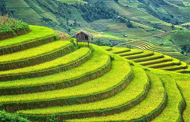 istock Little House on the terraced fields wanderous 495343850
