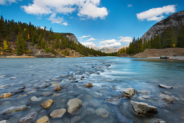 Bow River Banff National Park, Alberta bow river stock pictures, royalty-free photos & images
