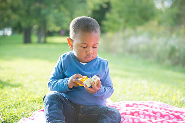 istock Little Boy Playing with Toy Blocks 495344212