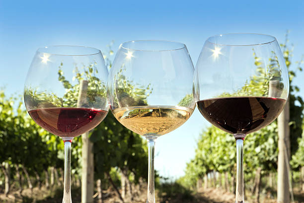 istock Glasses of wine 495344638