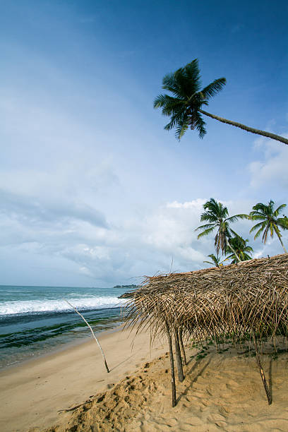 istock Tangalle beach landscape, Sri Lanka 495345350