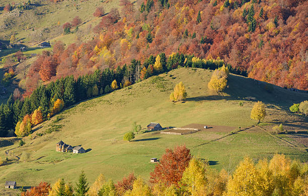 automne dans un village de roumanie: magura, brasov comté. - romanian hay photos et images de collection
