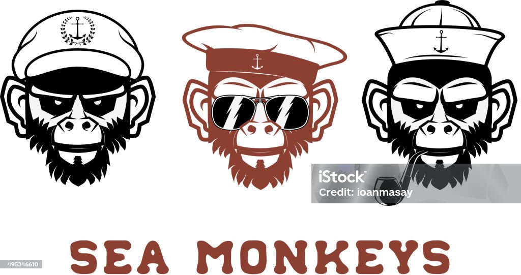 sea monkey The image monkeys portraits in the salor hat. T-short design template.  Vector illustration. 2015 stock vector