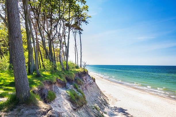 Polish seashore, Baltic sea Summer scene with path in the forest on the seashore, Rewal, Baltic sea, Poland baltic sea stock pictures, royalty-free photos & images
