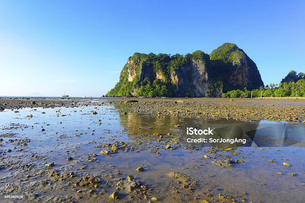 Railey, Krabi, Thaïlande mer - Photo de Arbre libre de droits