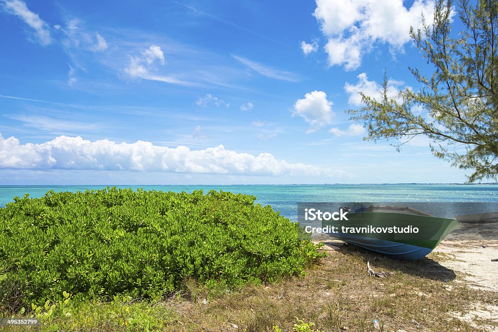 늙음 낚시는요 배죠 열대 해변 유클리드의 카리브계 - 로열티 프리 0명 스톡 사진