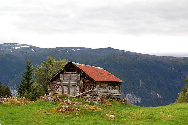 istock House on the hill 495354989
