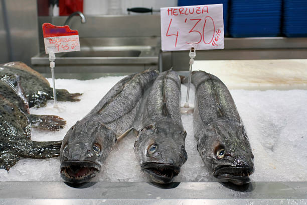istock Fresh hakes in a fish market 495355851