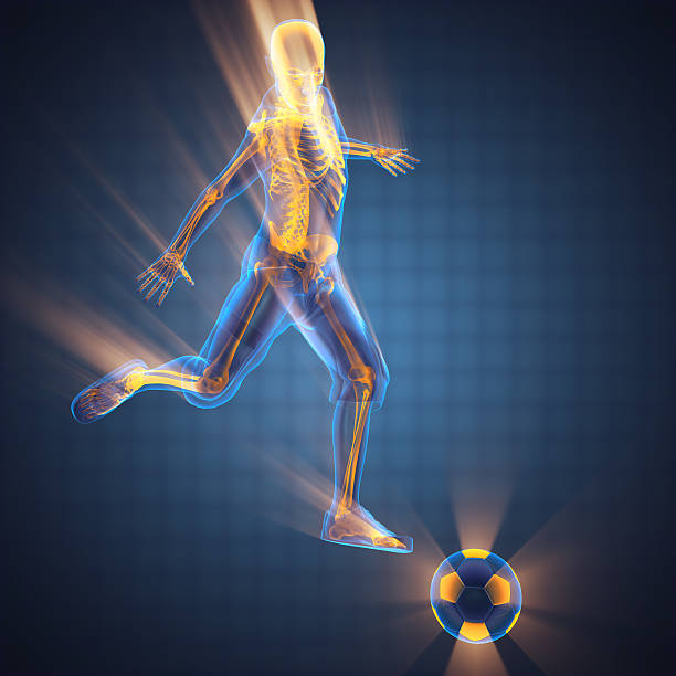 istock soccer player bones radiography 495355944