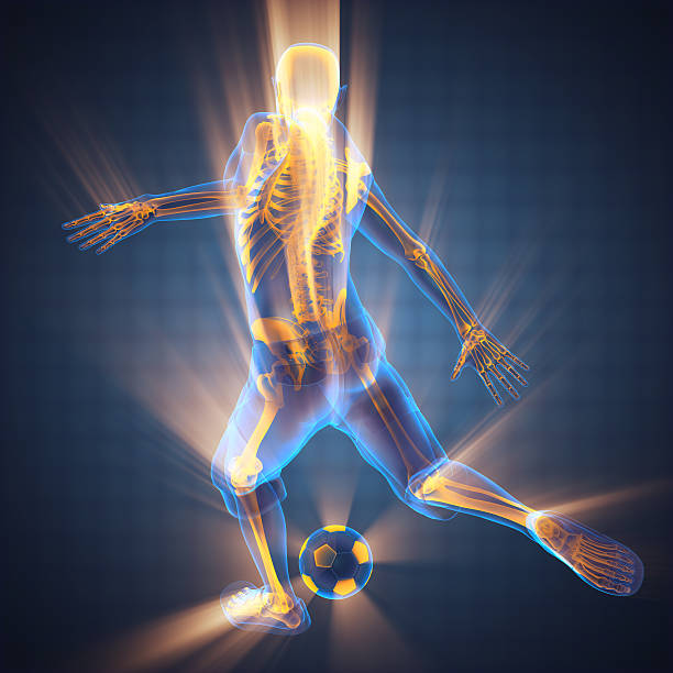 istock soccer player bones radiography 495356088