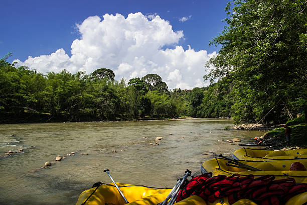 dinghies pronto para rafting no rio kiulu - balsa tree imagens e fotografias de stock