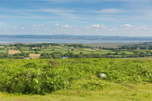 istock Coast from Cefn Bryn hill The Gower peninsula Wales uk 495358954