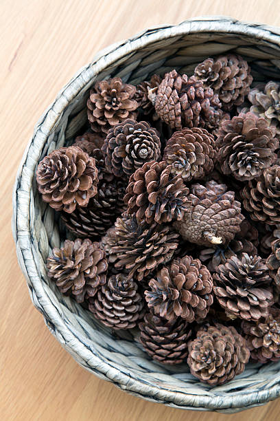 istock The cones ornament in woven bowl 495360324