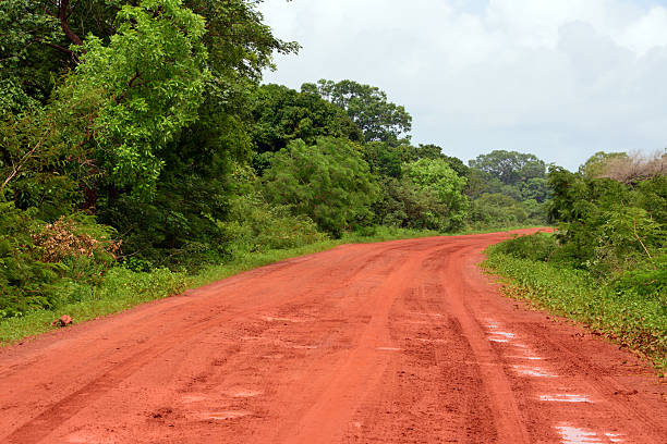 istock Dirt road in Africa 495370864