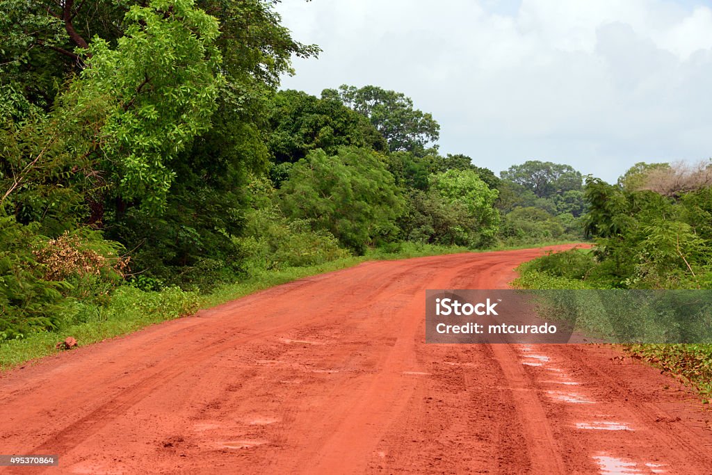 tommelfinger Savvy tømrer Dirt Road In Africa Stock Photo - Download Image Now - Gambia, 2015, Africa  - iStock