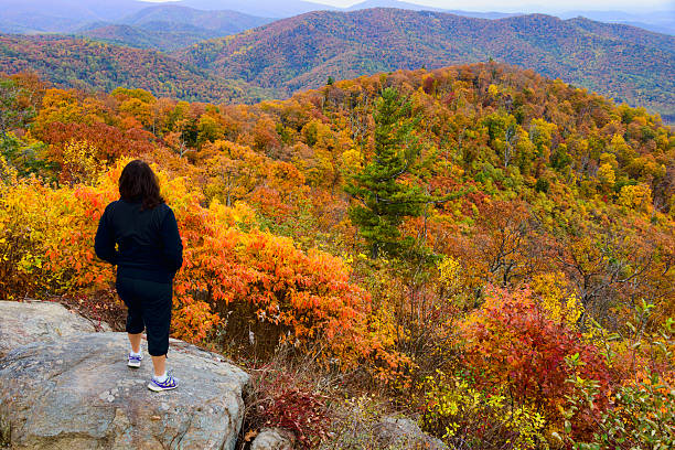 istock XXXL: Mature woman looking over an autumn scene 495371276