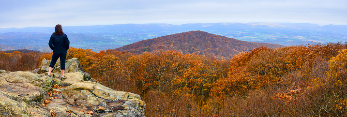 Panoramic of a mature woman looking out over the beautiful autumn foliage in Shenandoah National Park, Virginia.