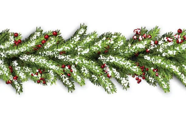 Vector illustration of Card with fir branches