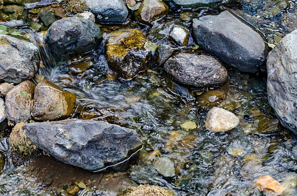 Beautiful motion blurred water stream landscape in the green forest, Vitosha mountain, Bulgaria