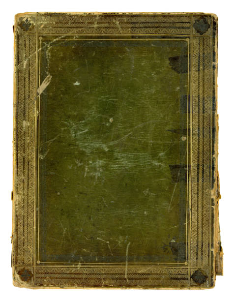 istock Badly damaged antique book cover 495376170