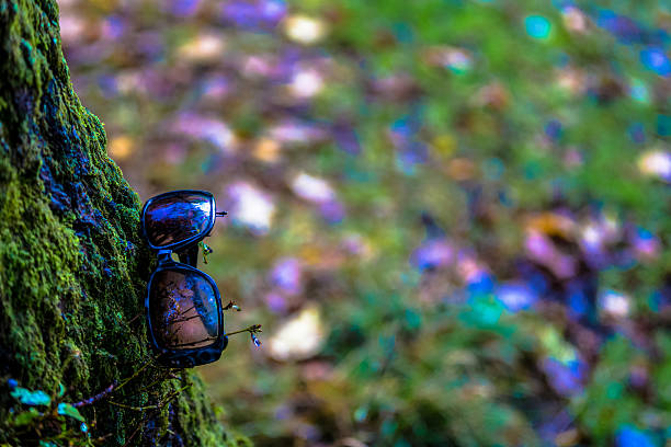 istock Shades of autumn 495377364