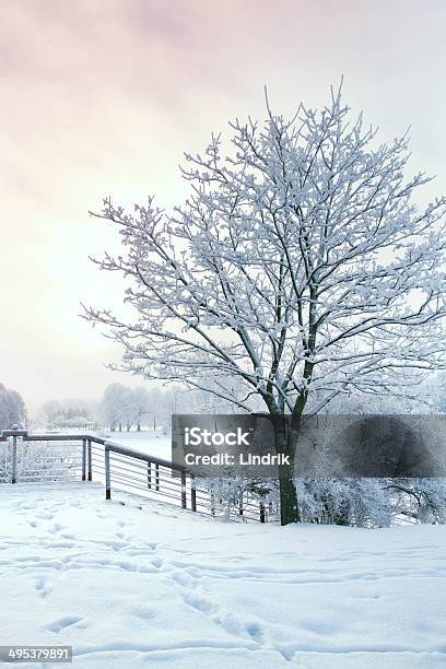 冬の森 - かすみのストックフォトや画像を多数ご用意 - かすみ, みぞれ, ロシア