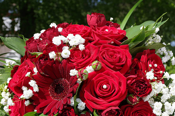 Rose bouquet stock photo