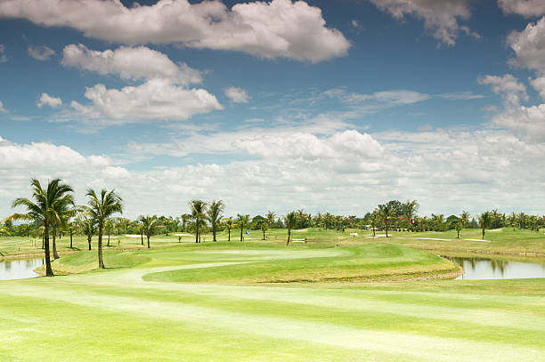 Golf course stock photo