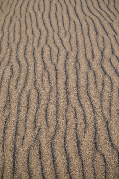 istock Sand dunes in the desert 495388214