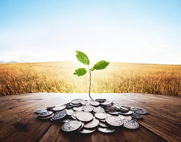 plant growing from a bunch of dollar cent coins - esg stockfoto's en -beelden