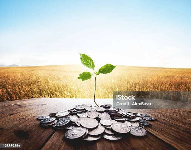 Plant Growing From A Bunch Of Dollar Cent Coins Stock Photo - Download Image Now - Environmental Social Corporate Governance - ESG, Investment, Currency