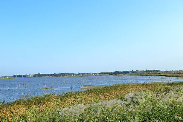 istock The landscape of Inbanuma. 495389898