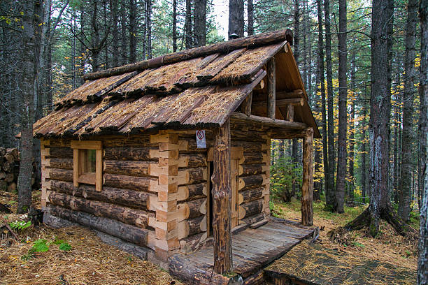 istock Wooden house hunter 495390252