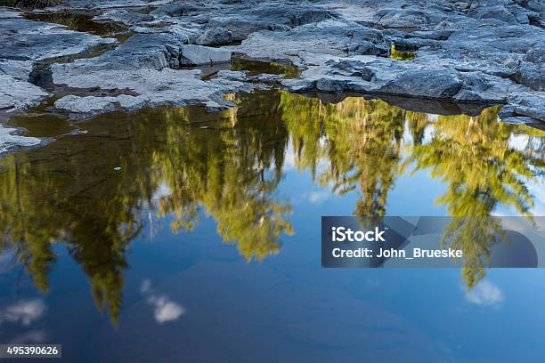 Forest Puddle Reflection Stock Photo - Download Image Now - 2015, Blue, Cloud - Sky