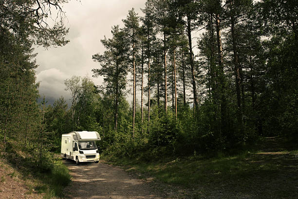 istock Caravan trail home driving on forest road 495391282