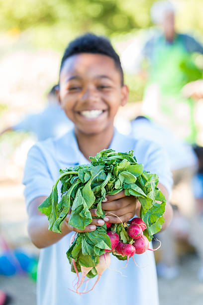 istock Student holding fresh radishes during field trip at farm 495391420