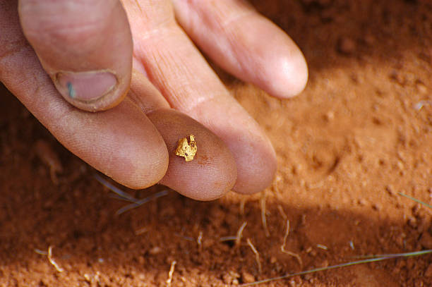 gold nugget The hand of a gold prospector in the Australian bush taking a gold nugget he found with his metal detector on the red earth of Australia gold mining panning stock pictures, royalty-free photos & images
