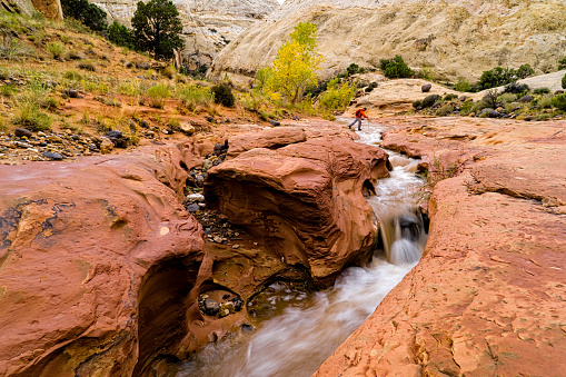 Crossing Creek in Canyon - Scenic desert landscape with Navajo sandstone and creek.  Capitol Reef National Park, Utah USA.