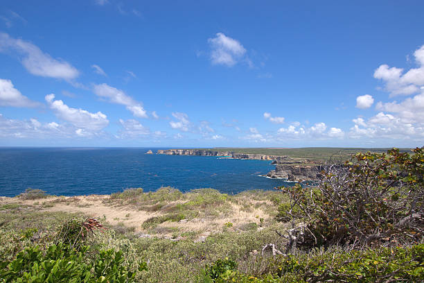istock Pointe de la Grande Vigie, Guadeloupe 495392300