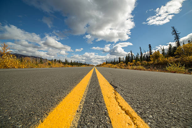 istock Alaska highway-Shot taken from the ground. 495393320