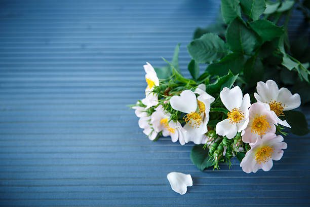 bouquet of wild roses bouquet of wild roses on a wooden table wild rose hip stock pictures, royalty-free photos & images