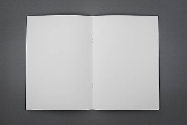 istock Blank catalog,brochure, magazines,book mock up 495417916