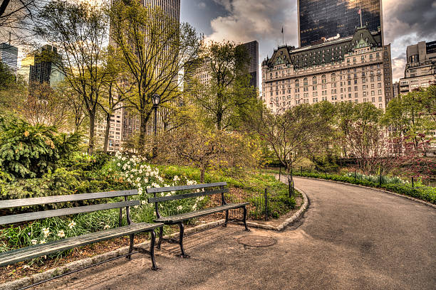 Central Park, New York City in spring at pond