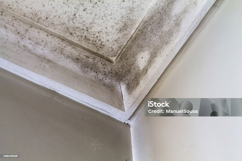 Water stains on the roof of a house. Fungal Mold Stock Photo