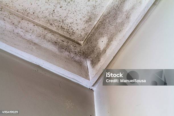 Water Stains On The Roof Of A House Stock Photo - Download Image Now - Fungal Mold, Ceiling, Abandoned