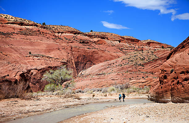 istock Paria River Canyon Trekking 495419589
