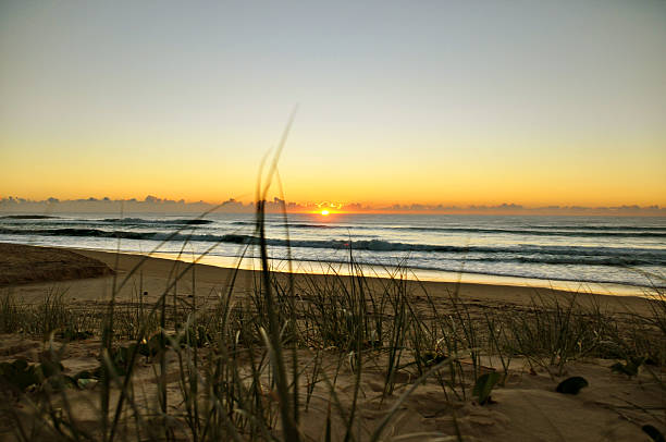 istock Sunrise and Sea Grass 495419683