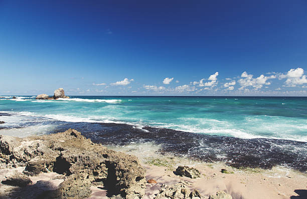 istock Indian ocean , Sri Lanka 495420622