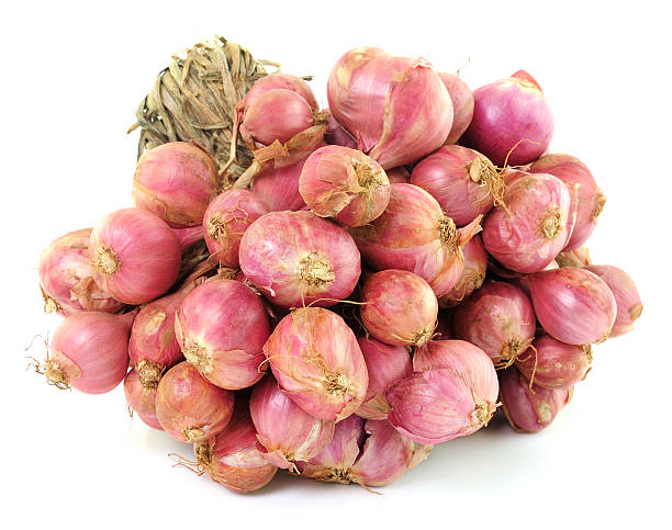 istock Shallot onions in a group isolated over white background. 495422415